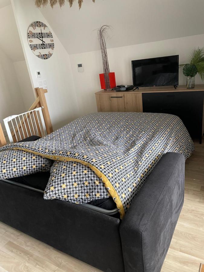 Bel Appartement « The Lion King » Proche Disney Montevrain Bagian luar foto